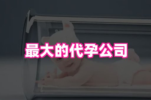 福建助孕网 1