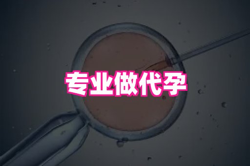福建助孕网 2