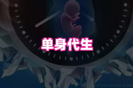 福建助孕网 3